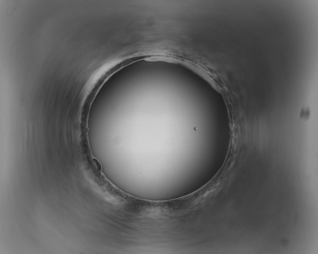 X0000111170200200907151307