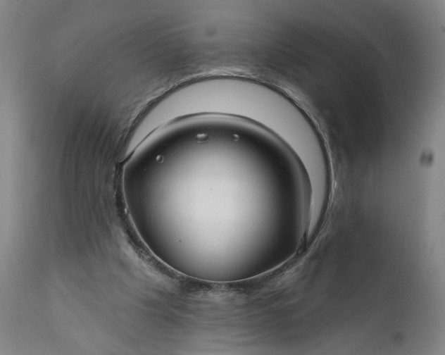 X0000111170201200907151307