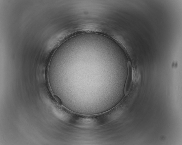 X0000111170205200907151307