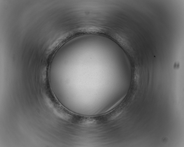 X0000111170206200907151307