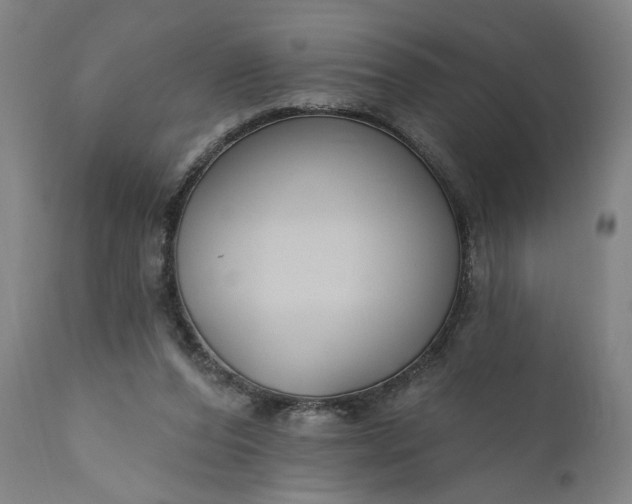 X0000111170208200907151307