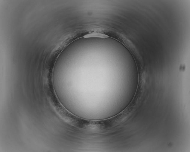 X0000111170209200907151307