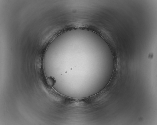 X0000111170210200907151307