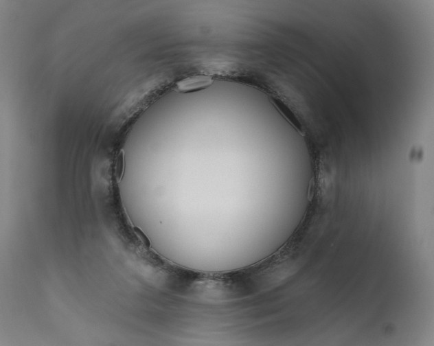 X0000111170211200907151307