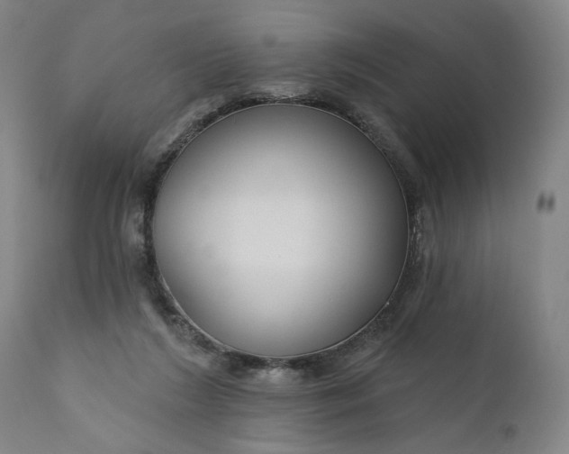 X0000111170212200907151307