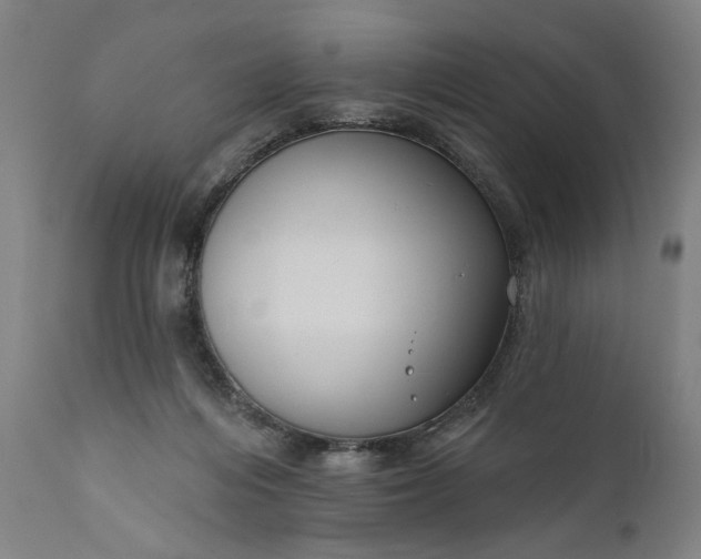 X0000111170216200907151307