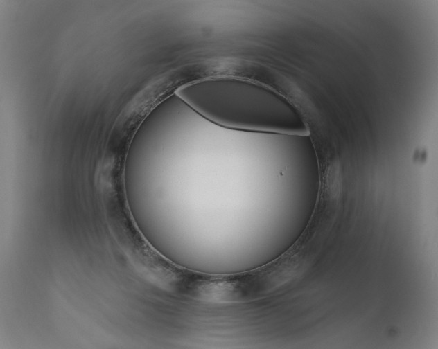 X0000111170217200907151307