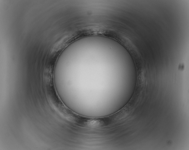 X0000111170218200907151307