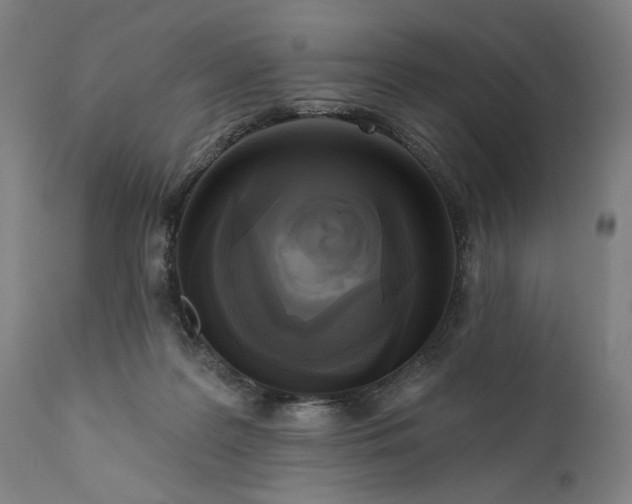 X0000111170219200907151307