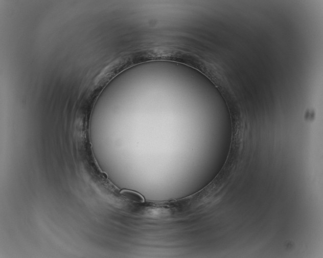 X0000111170220200907151307