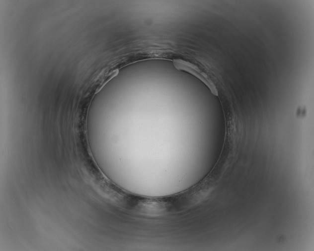 X0000111170221200907151307