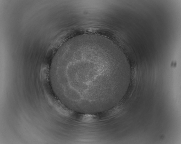 X0000111170222200907151307