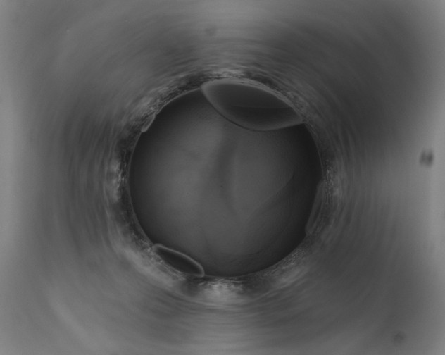 X0000111170223200907151307