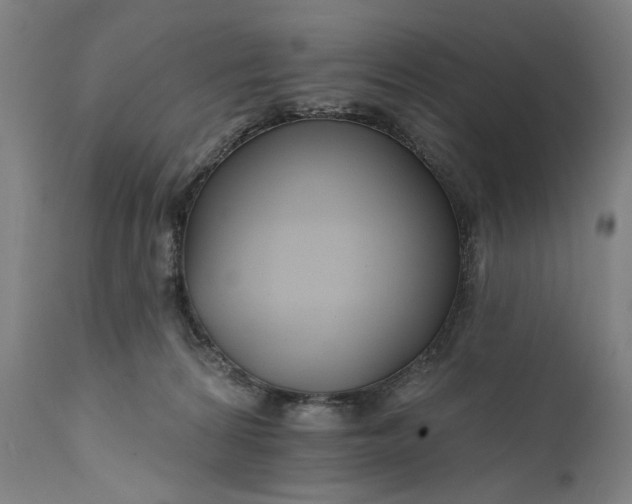 X0000111170224200907151307