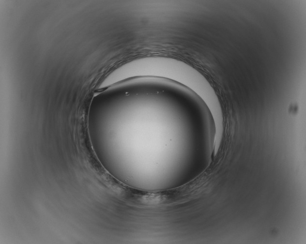 X0000111170225200907151307