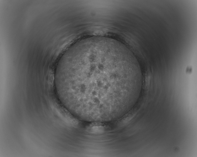 X0000111170228200907151307