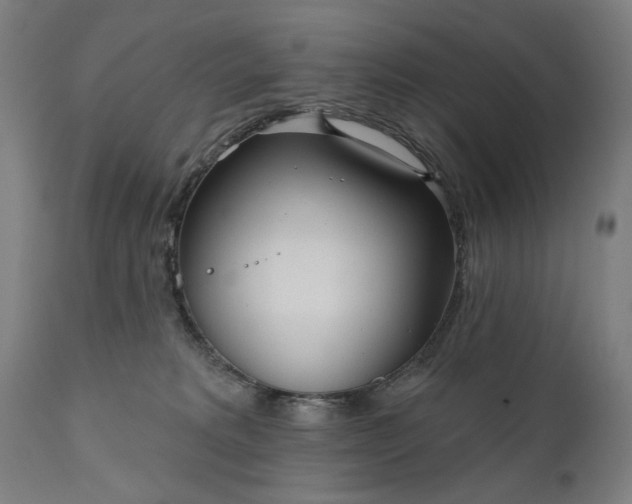 X0000111170229200907151307