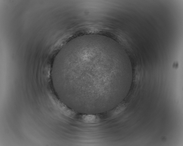 X0000111170230200907151307