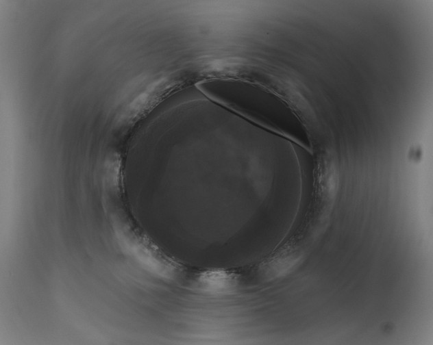 X0000111170231200907151307