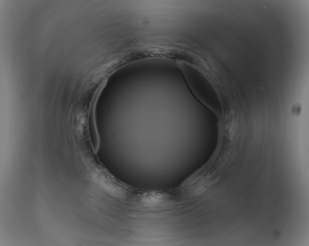 X0000111170235200907151307