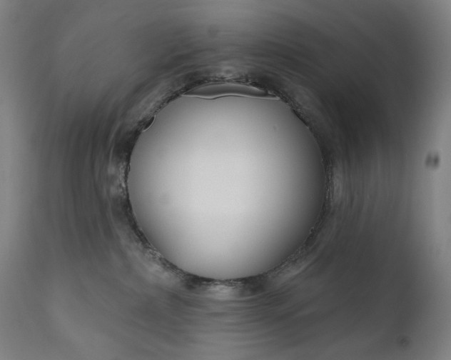 X0000111170236200907151307