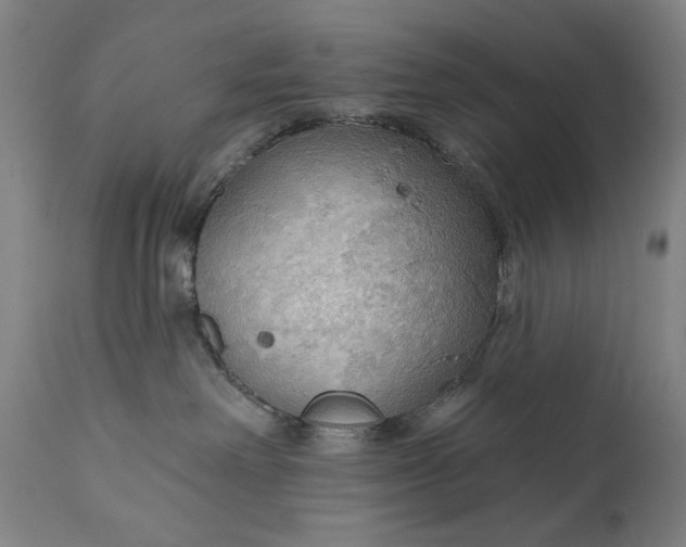 X0000111170238200907151307