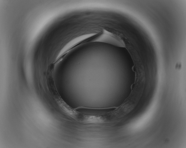 X0000111170239200907151307