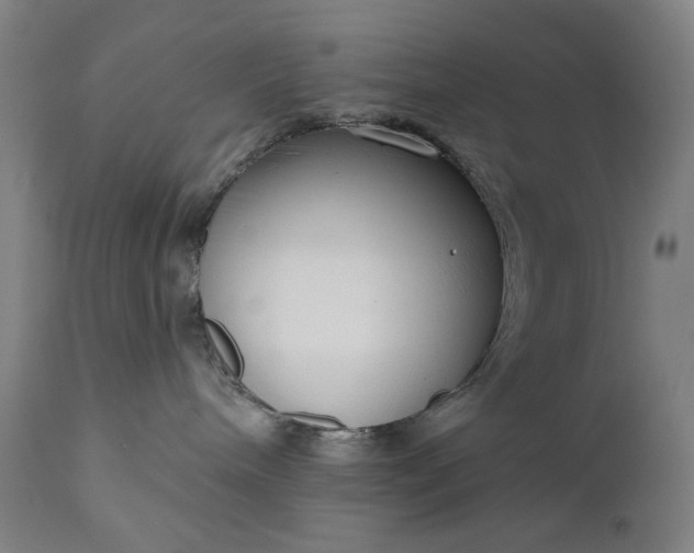 X0000111170240200907151307