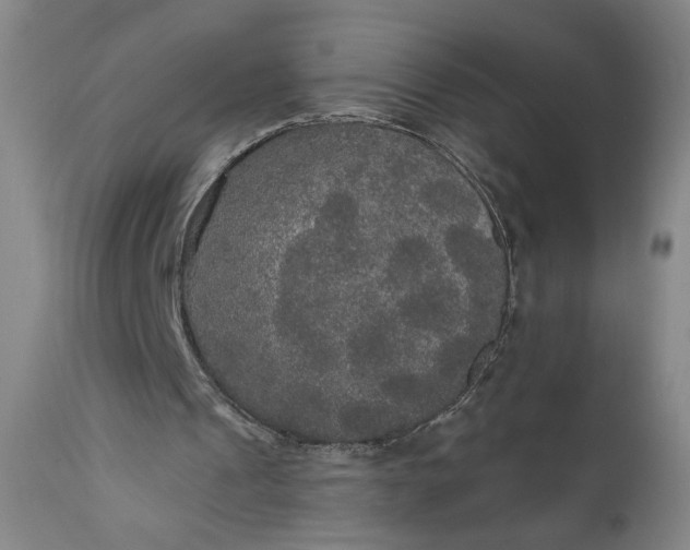 X0000111170241200907151306