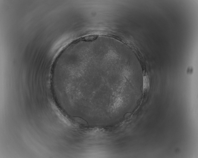 X0000111170243200907151306