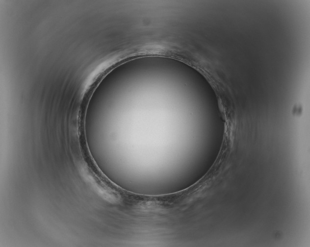 X0000111170244200907151306