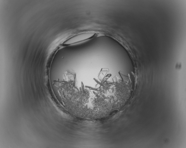 X0000111170245200907151306