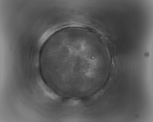 X0000111170247200907151306