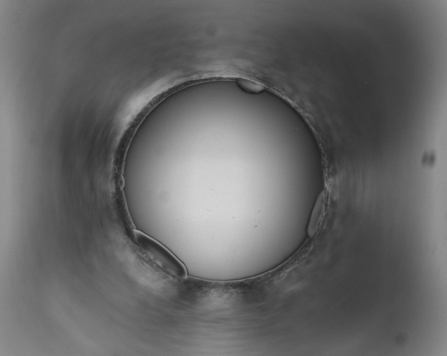 X0000111170248200907151306