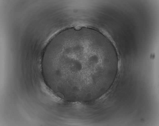 X0000111170249200907151306