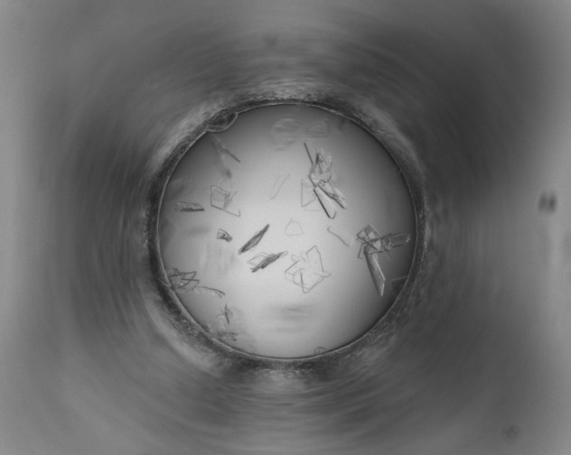 X0000111170250200907151306