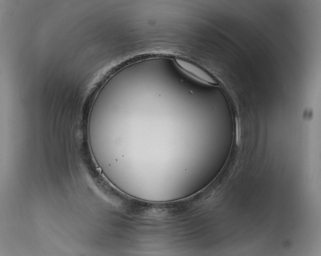 X0000111170252200907151306