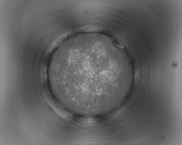 X0000111170254200907151306