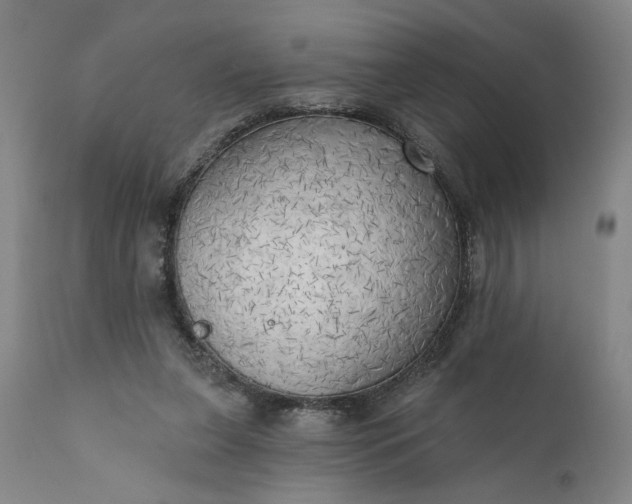 X0000111170255200907151306