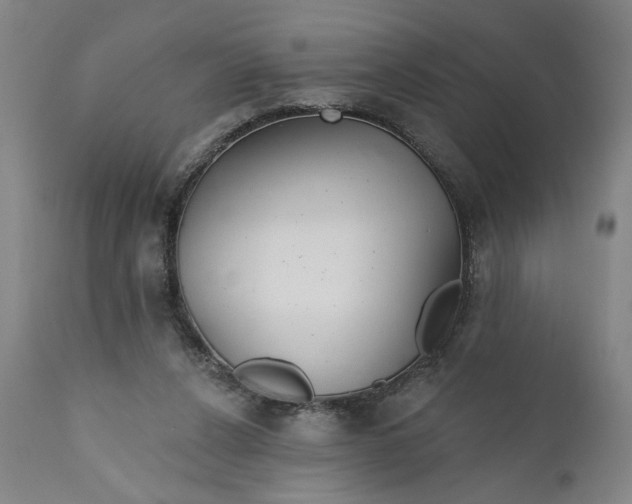 X0000111170256200907151306