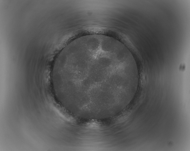 X0000111170259200907151306