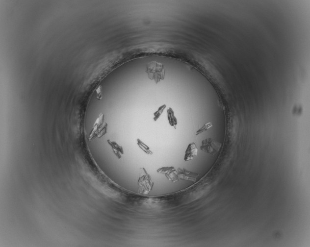 X0000111170261200907151307