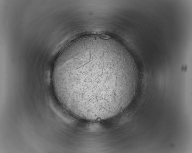 X0000111170262200907151307