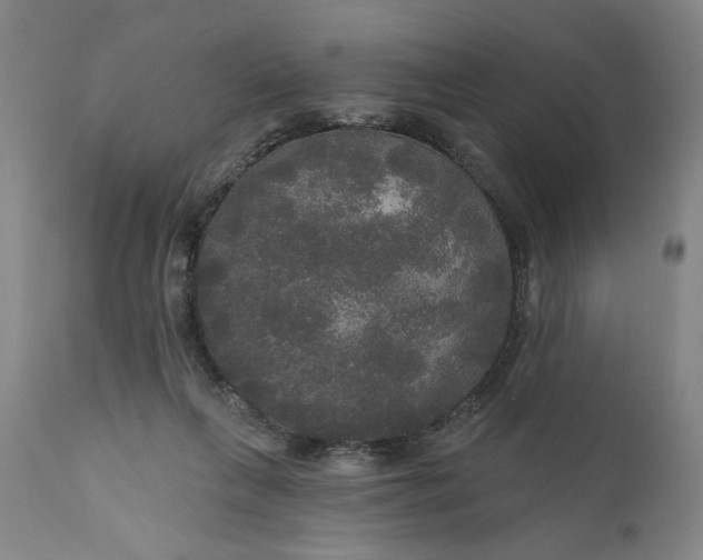 X0000111170263200907151307