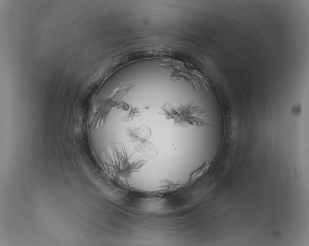 X0000111170266200907151307