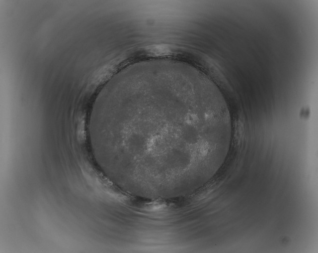 X0000111170267200907151307