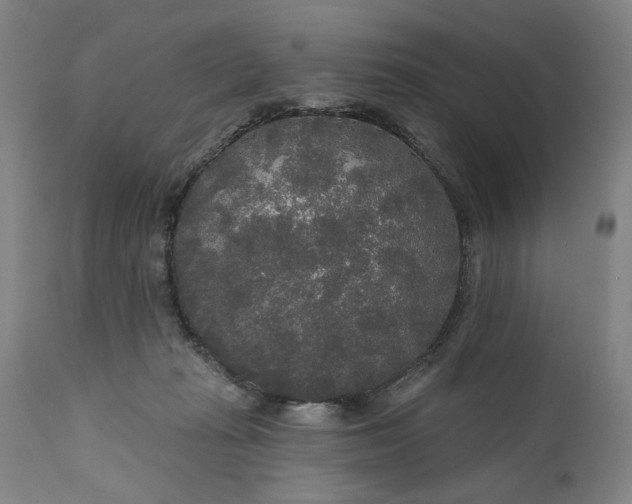 X0000111170269200907151307