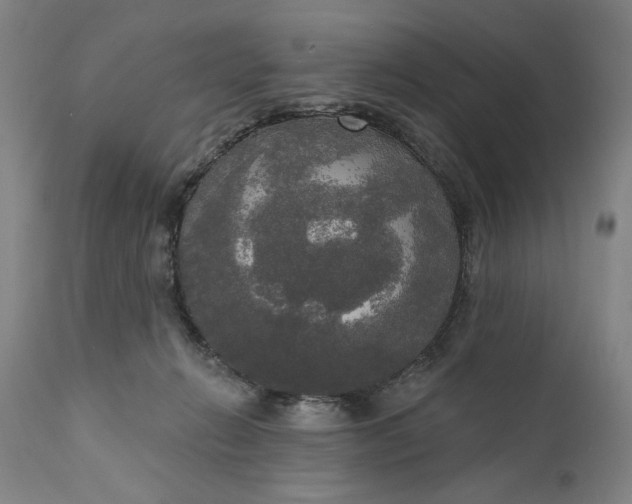 X0000111170270200907151307