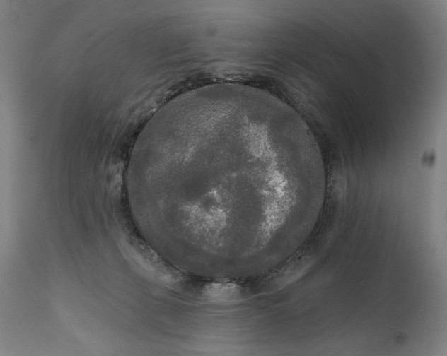 X0000111170271200907151307