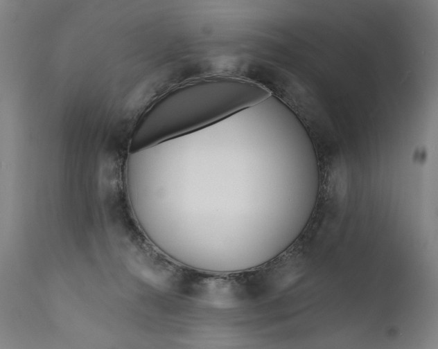 X0000111170272200907151307